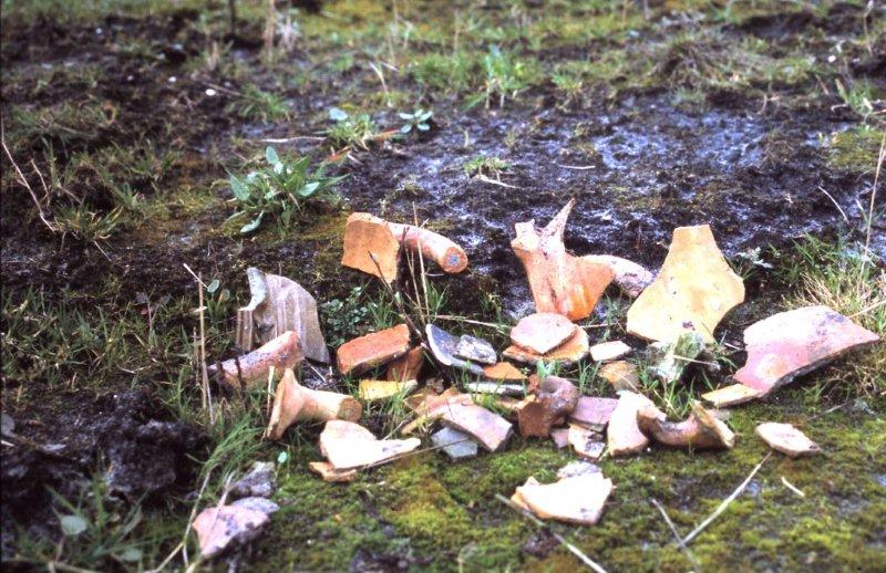 Bestand:Potscherven.jpg