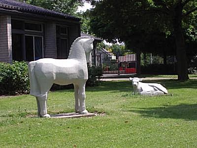 Bestand:Paard en koe.jpg