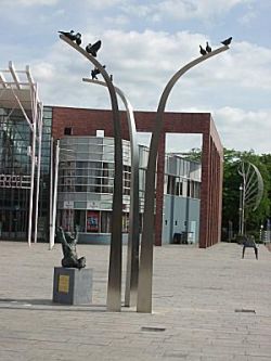 px