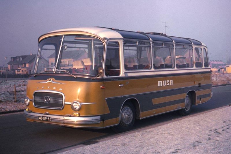 Bestand:Bus Musa.jpg