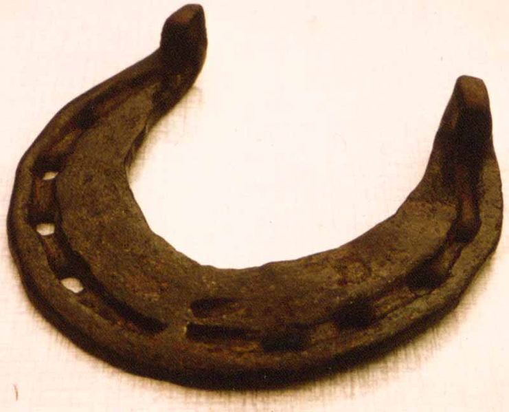 Bestand:43843 hoefijzer.jpg