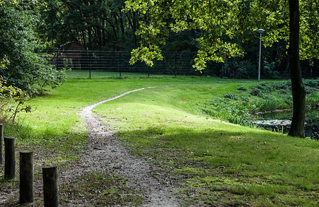 Olifanten houden niet van omlopen. Veel mensen in Wolluk ook niet. Met mooie paadjes als gevolg.